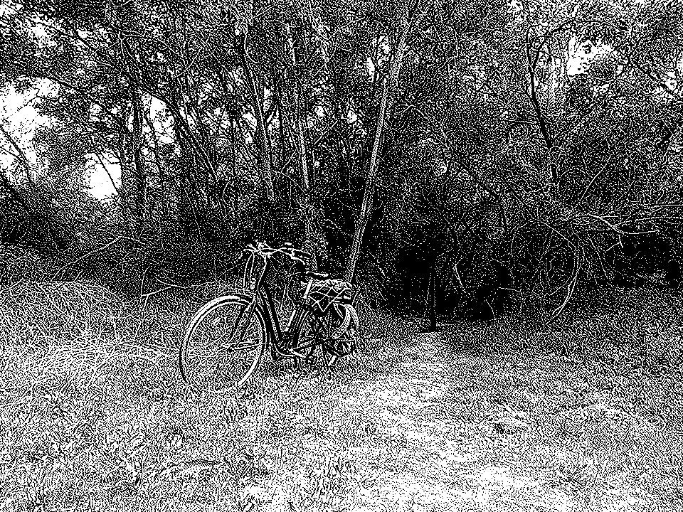 Atkinson dithering. Apartada a un lado del sendero de un bosque, aparece mi bicicleta, cargada y con muchos árboles detrás.