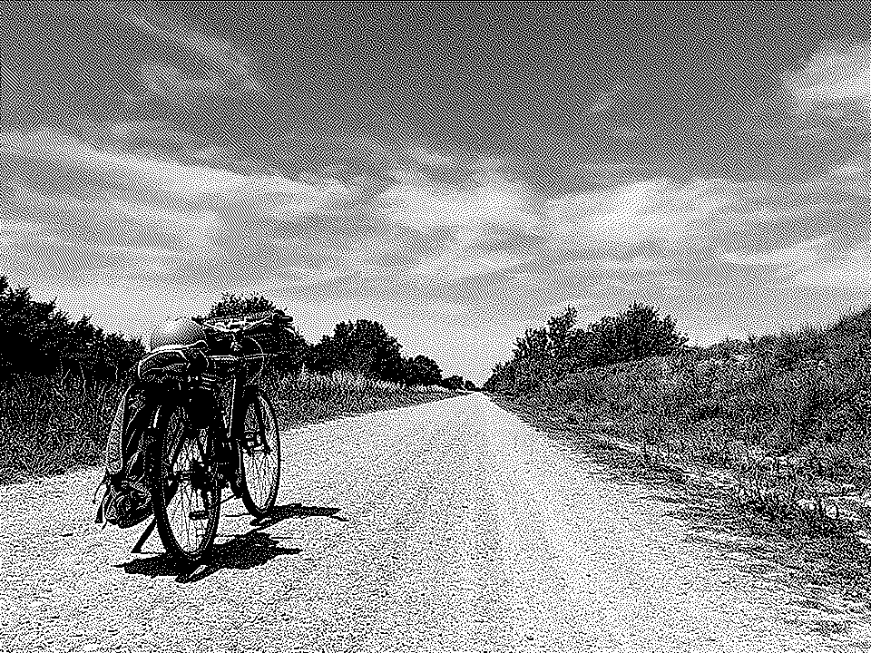 Dithering. Mi bicicleta en mitad de un camino, largo y recto que se pierde en el horizonte. El cielo hermoso pero dramático, y a los lados, los árboles que lo definen.